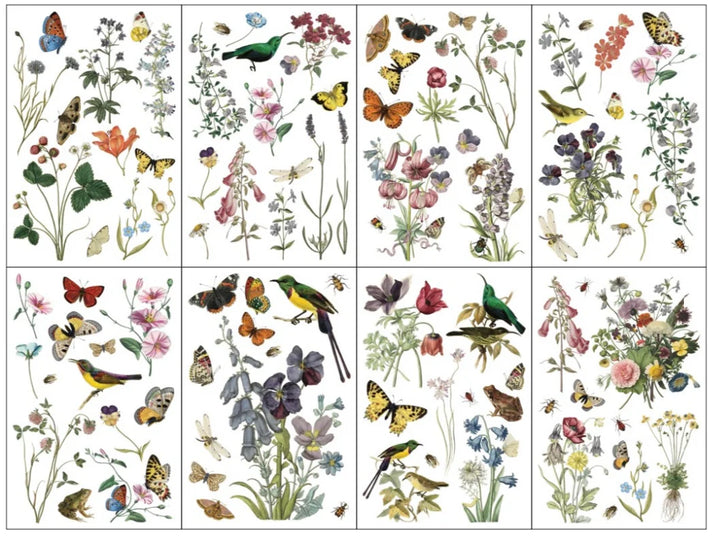 NEW! IOD Transfer Pad - WILDE BLOEMEN (set of eight 8"x12" sheets)