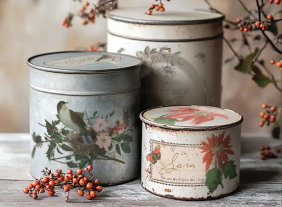 NEW! IOD Transfer Pad - WINTER BOTANIST (set of eight 8"x12" sheets) - Rustic Farmhouse Charm