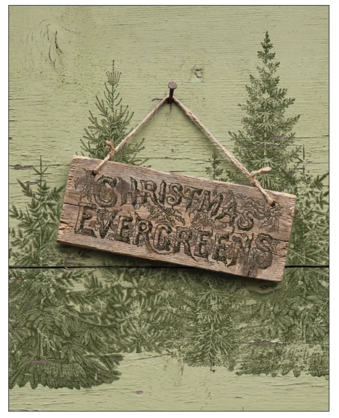 NEW! IOD Stamp - WINTER GROVE (12"x12", 30.48cm x 30.48cm)