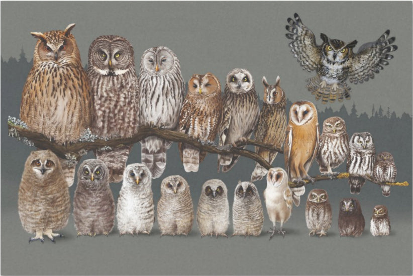 Decoupage Tissue Paper - Owls on a Branch (50.8cm x 76.2cm) - Rustic Farmhouse Charm