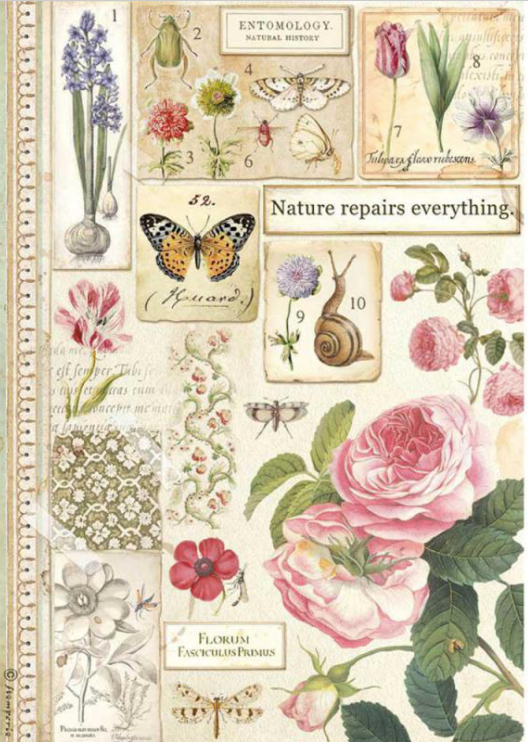 BOTANIC Rice Paper by Stamperia (A4) - Rustic Farmhouse Charm
