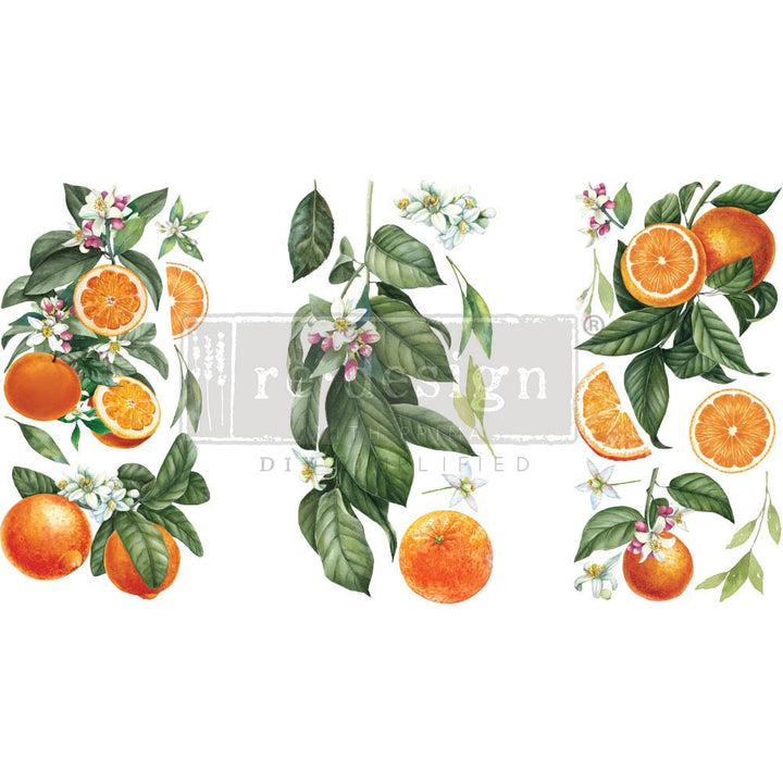 NEW! CITRUS SLICE Redesign Transfer (3 sheets, each 15.24cm x 30.48cm) - Rustic Farmhouse Charm