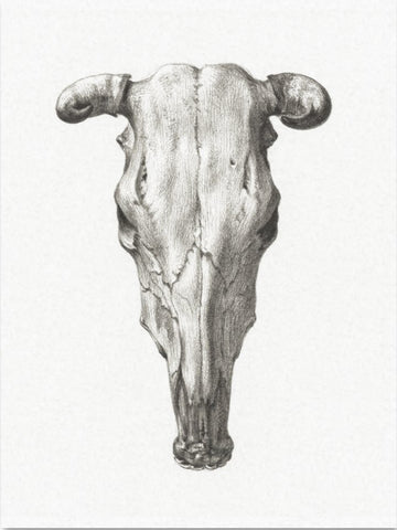 Decoupage Tissue Paper - Cow Skull (2 sizes) - Rustic Farmhouse Charm