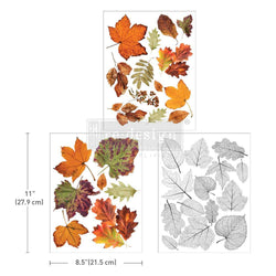 NEW! CRUNCHY LEAVES FOREVER Redesign Middy Transfer (3 sheets, each 21.59cm x 27.94cm) - Rustic Farmhouse Charm