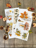 NEW! FOLIAGE COLLECTOR Redesign Transfer (3 sheets, each 15.24cm x 30.48cm) - Rustic Farmhouse Charm