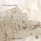 NEW! LA SPACCATURA Redesign Decoupage Tissue Paper 48.26cm x 76.2cm - Rustic Farmhouse Charm