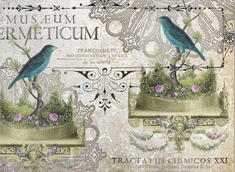 Decoupage Tissue Paper - Latin Museum Birds (43.18cm x 58.42cm) - Rustic Farmhouse Charm