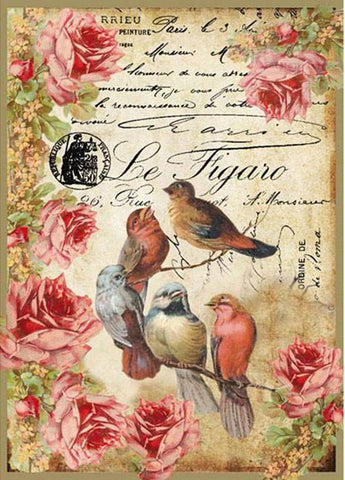 LE FIGARO BIRDS Rice Paper by Stamperia (A4) - Rustic Farmhouse Charm