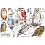 NEW! OWL Redesign Transfer (3 sheets, each 15.24cm x 30.48cm) - Rustic Farmhouse Charm