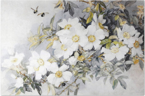 Decoupage Tissue Paper - White Flowers (50.8cm x 76.2cm) - Rustic Farmhouse Charm